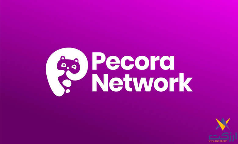 شبکه Pecora